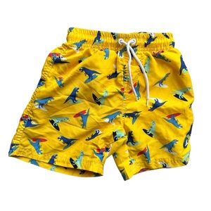 Boys shark patrol Dino swim shorts